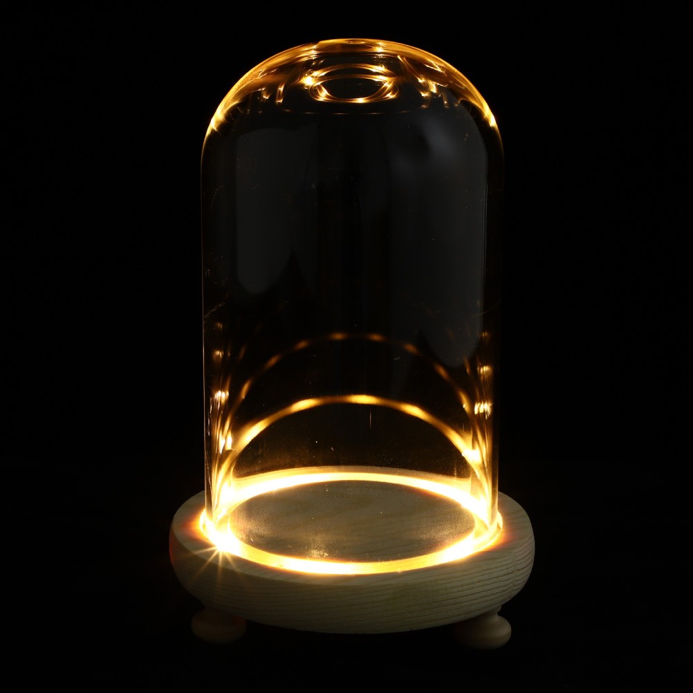 1 Set Creative Preserved Flower Glass Display Cover with Wooden Stand