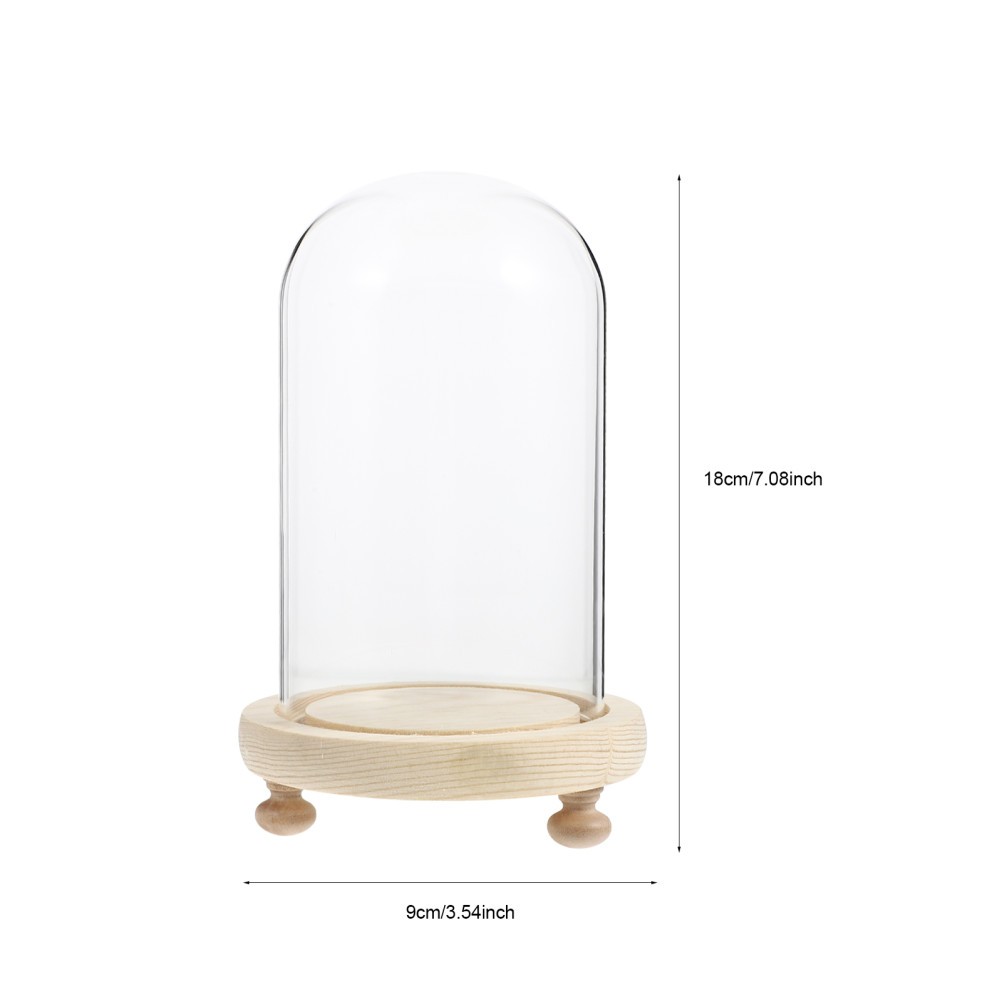 1 Set Creative Preserved Flower Glass Display Cover with Wooden Stand