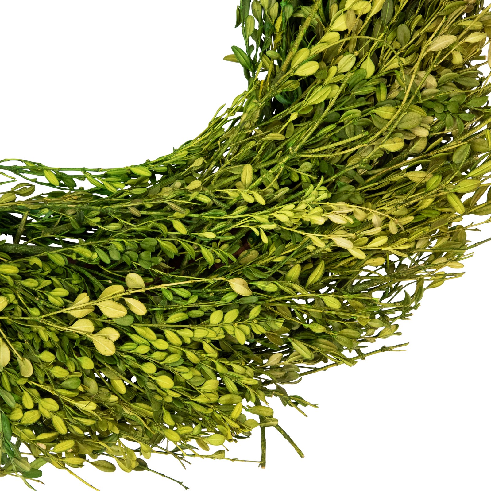Green Foliage Artificial Spring Wreath – 20′ – Unlit