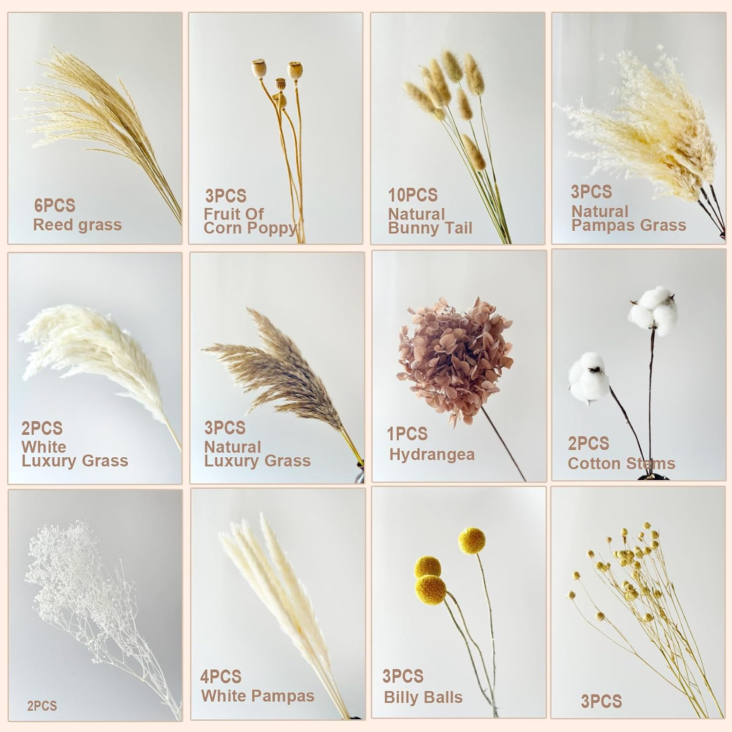 Natural Pampas Grass Bouquet -Cotton Stems,Bunny Tails ,Hydrangea,Fall Dried Flo