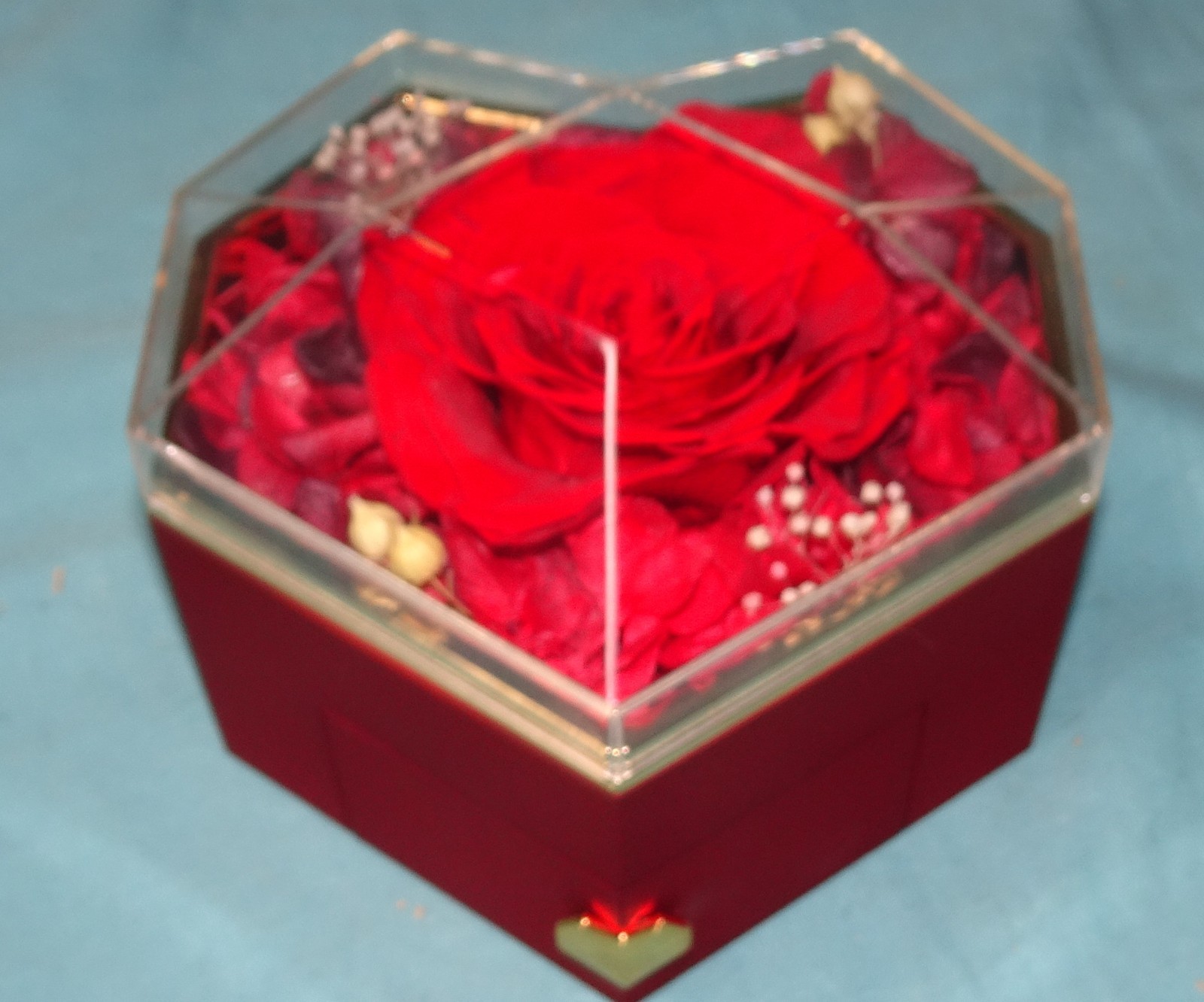 new open box Preserved Real Red Rose Gift Box with Heart Necklace Eternal Flower