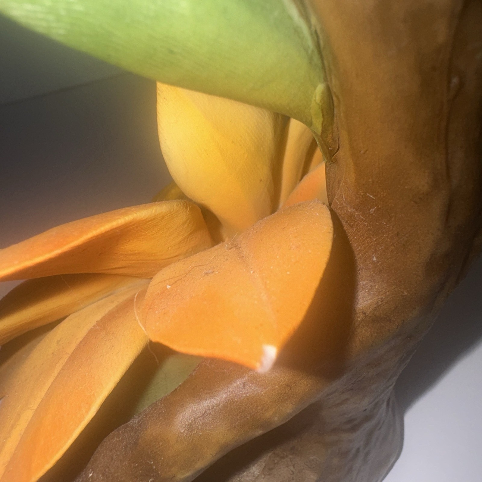 Capodimonte Orange Black Eyed Susan Floral Sculpture Made In Italy 6 3/4”