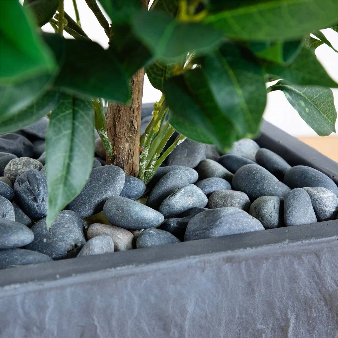 57” UV Bay Leaf Cone Topiary Tree in Slate Planter (Indoor/Outdoor)