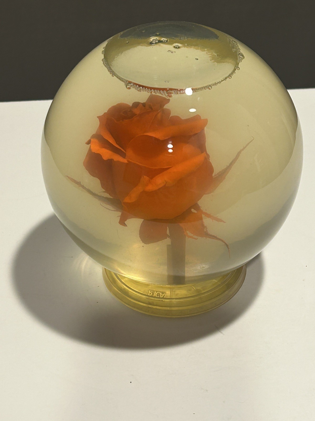 Vintage Liquid Filled Orange Rose Display Globe Preserved Flower Decor