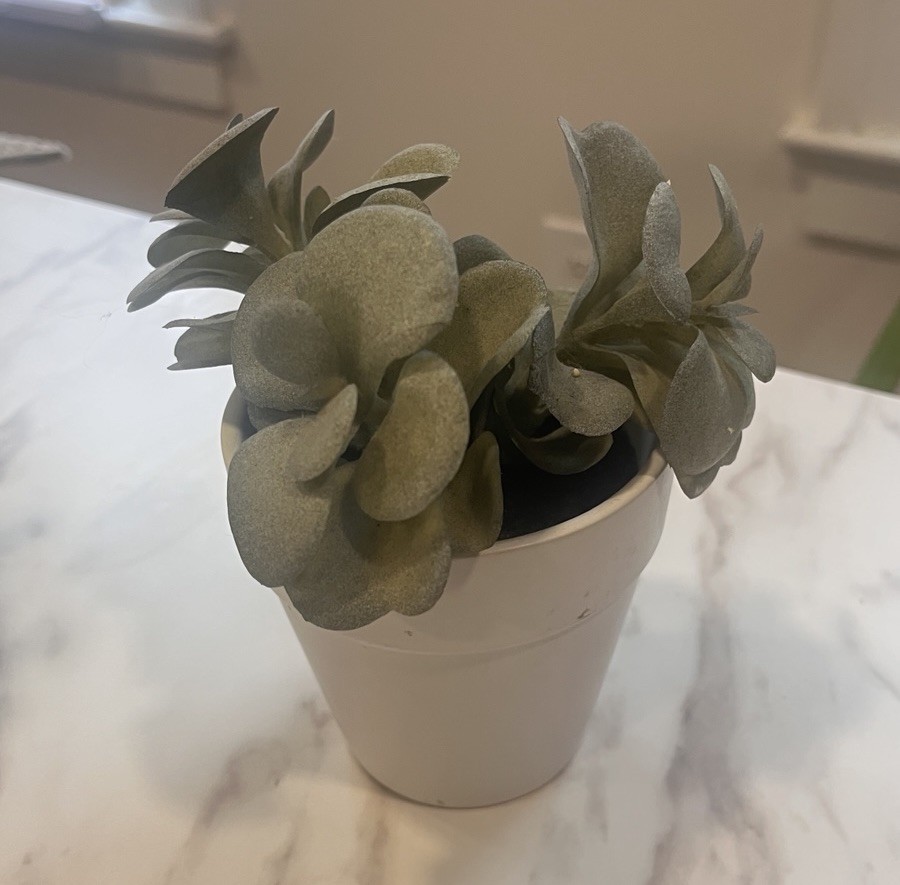 Artificial Plants Set of 2 • Home Decorations