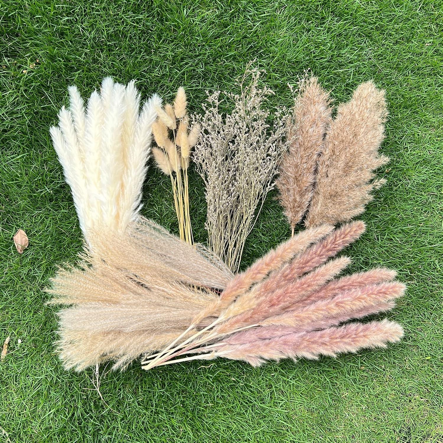 100Pcs Pampas Grass Boho Home Decor 17 inch Natural Dried Flowers-Pampas Gras…