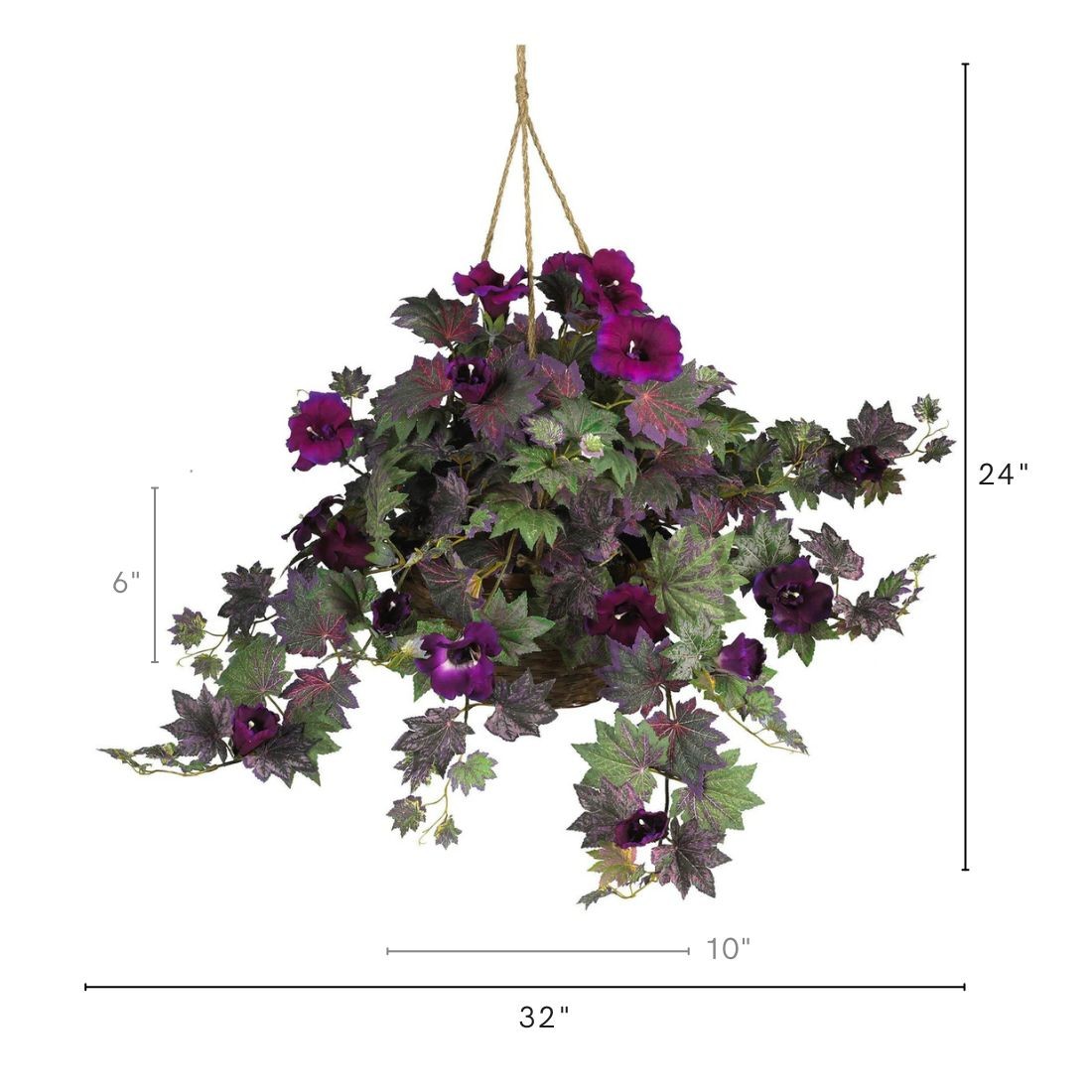 24″ Morning Glory Hanging Basket