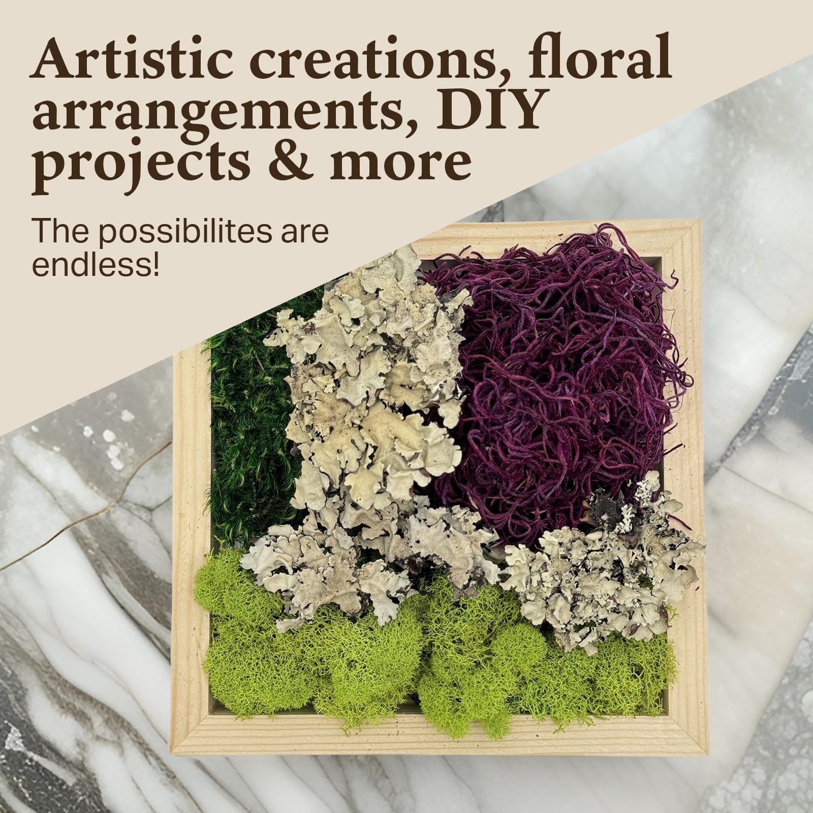 Natural Decorative Moss Variety Pack – Non-Toxic Craft & Home Decor – Red Mix, 2