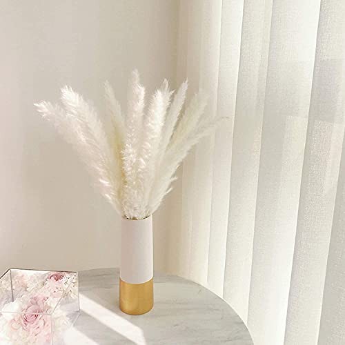 30 Pcs Pampas Grass ,17 inch/45 cm Natural Dried Pampas Grass Branches White