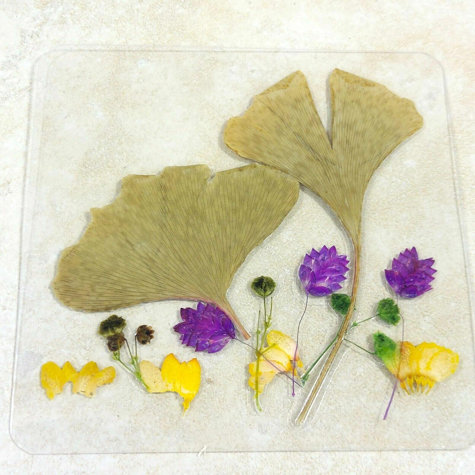 Dried Pressed Flowers Natural Flower Petal Set Resin Art Design Home Décor Gift