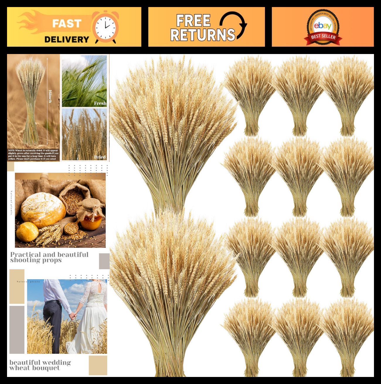 Dried Wheat Stalks Bundle – 1800 Stems Natural Grass for DIY Decor, Centerpieces