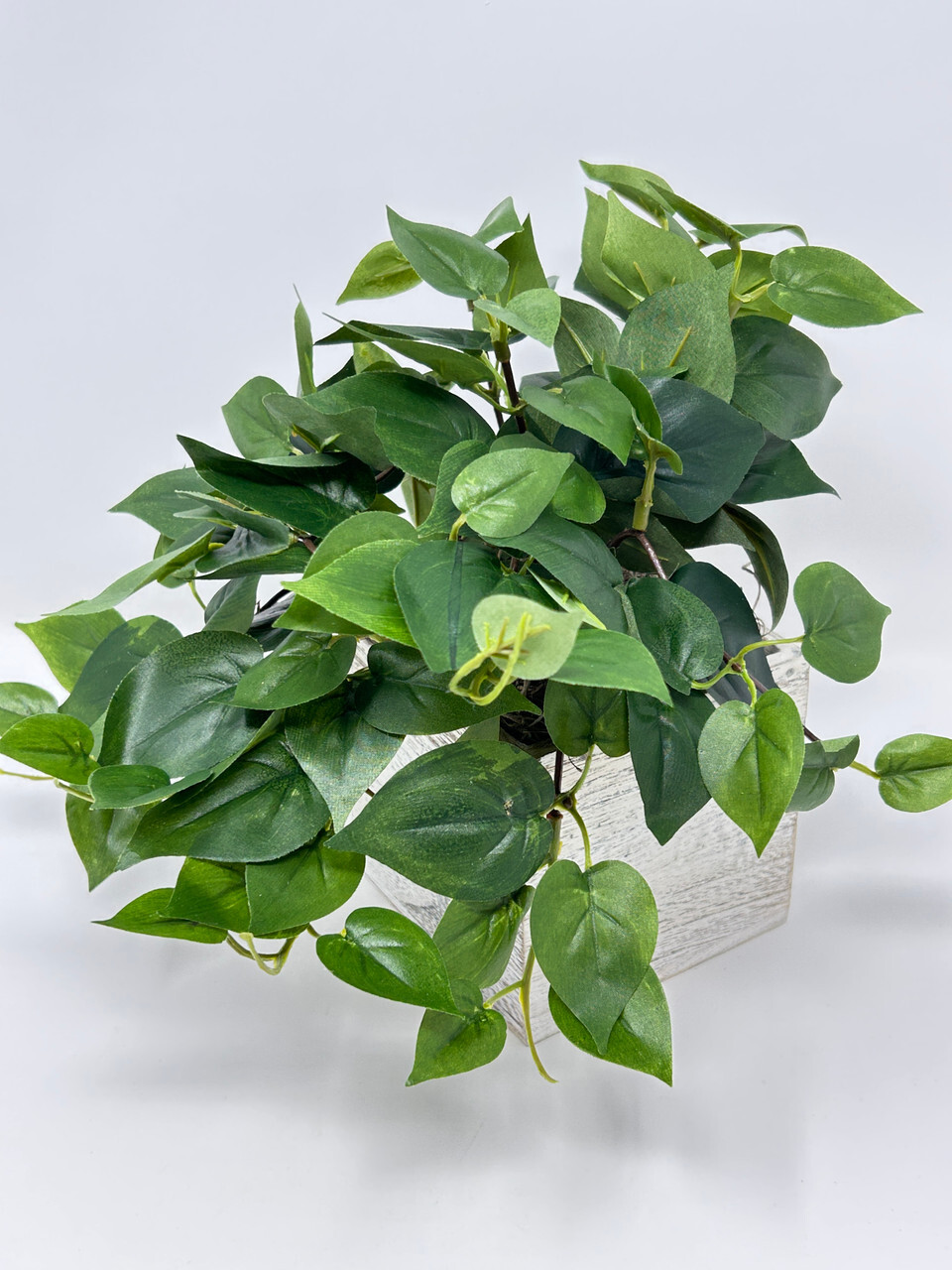 9″ MED Potted faux Green Pothos Vine Silk plant in White wood box – Home Decor