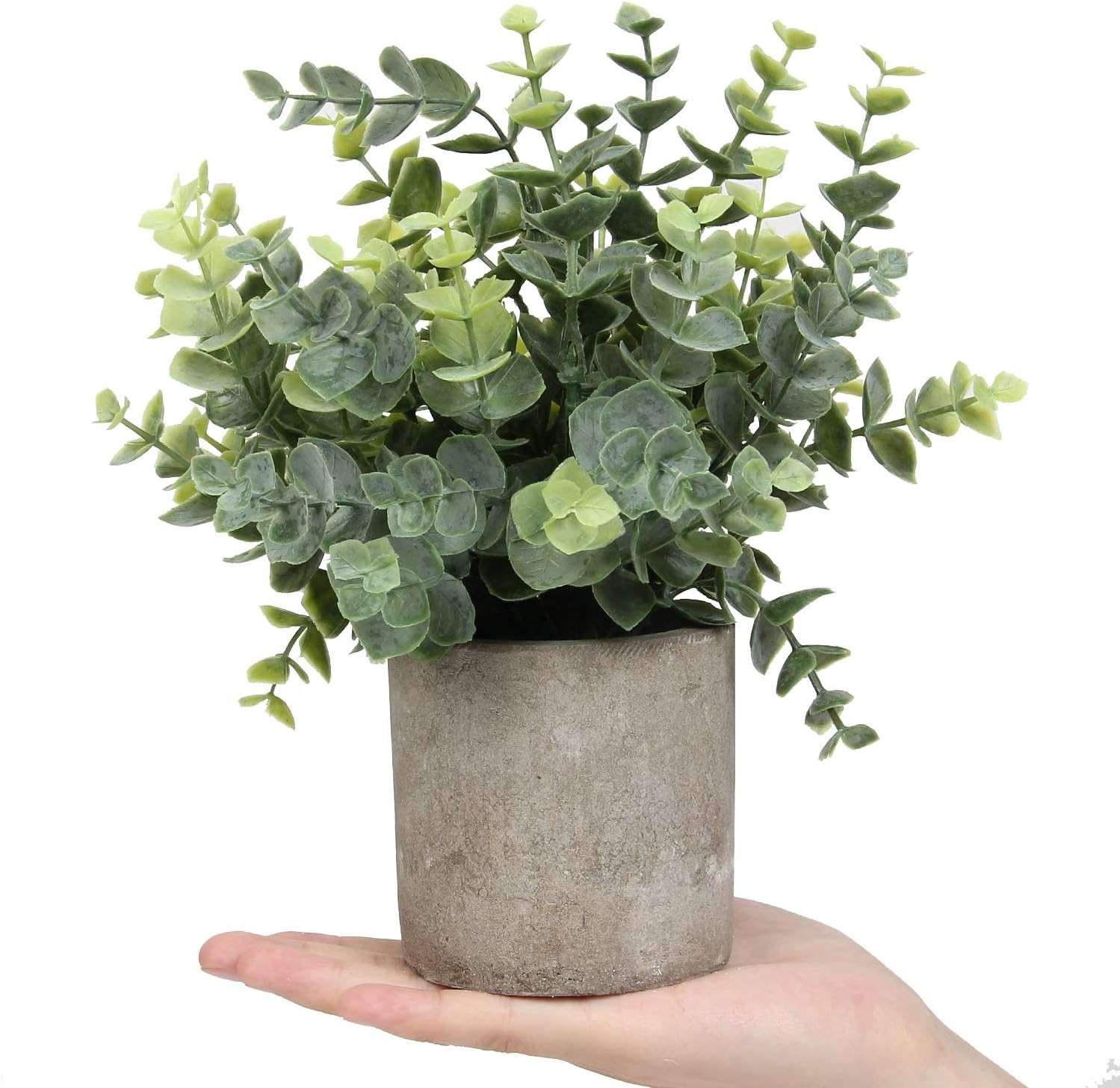 Mini Potted Plants Artificial Eucalyptus Boxwood Rosemary Faux Herbs Small House