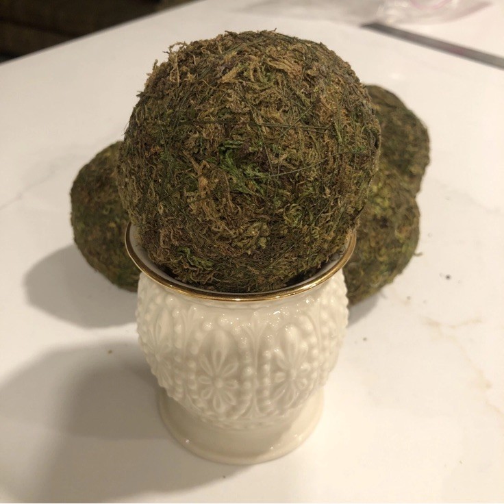 Natural Moss Balls Spheres 3-3.5 inches (5 Balls)