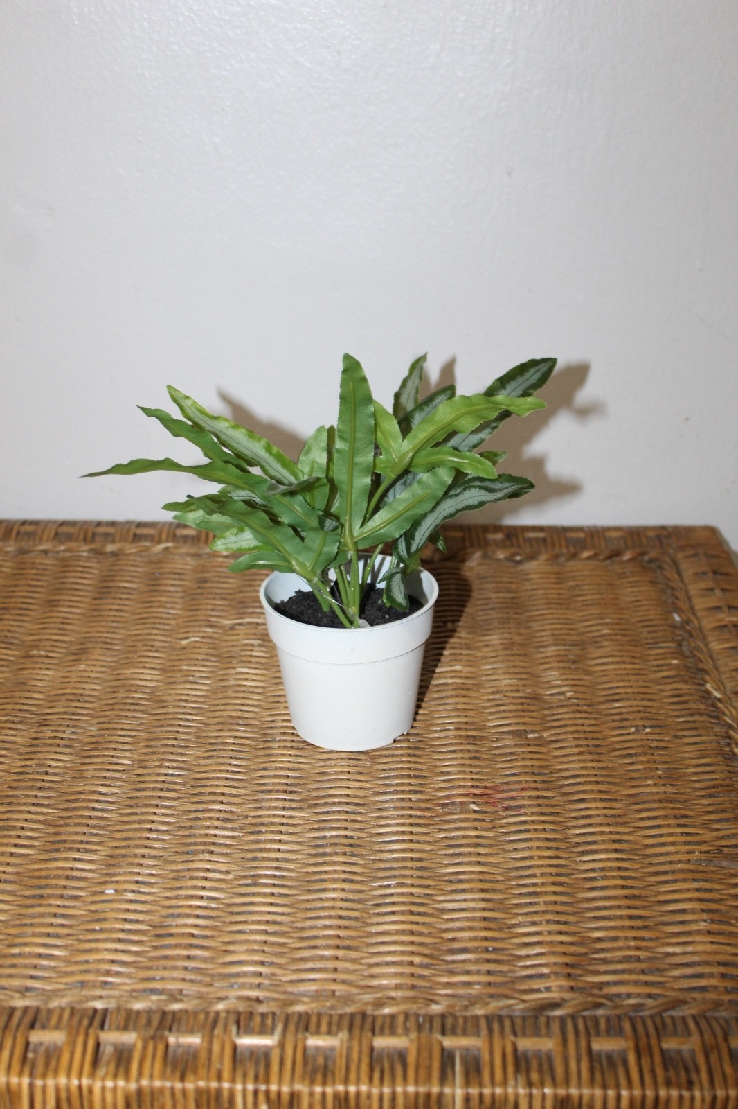 Williams Sonoma Artificial Potted Foliage Plant