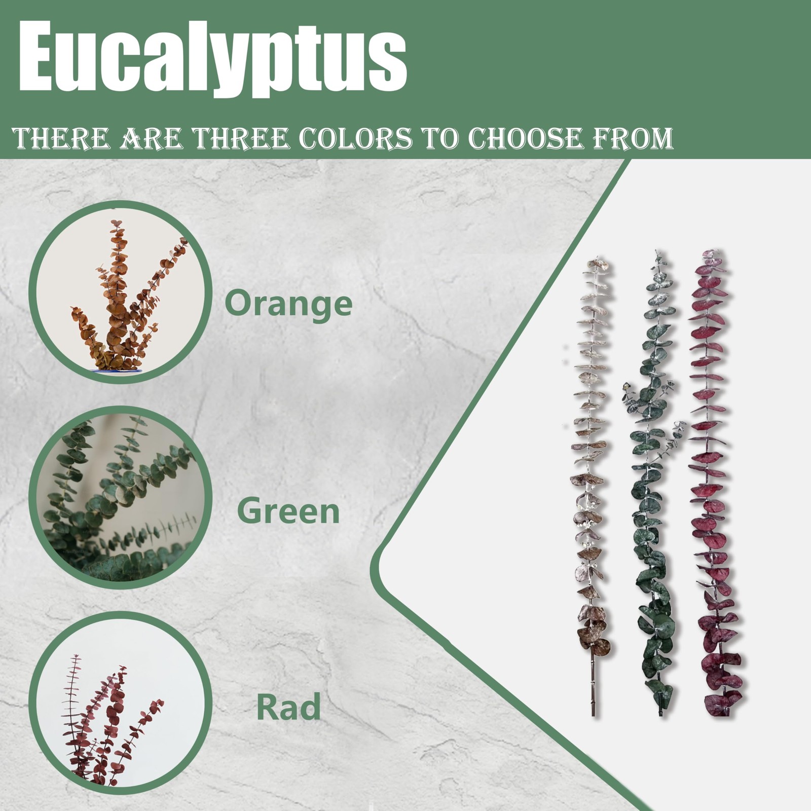 20pcs Driedeucalyptusstemsred Fall Decorations For Home Real Long Eucalyptus E