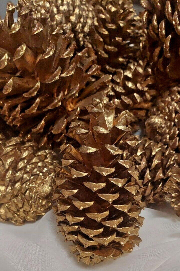 🎅15 Gold Painted Natural Pinecones