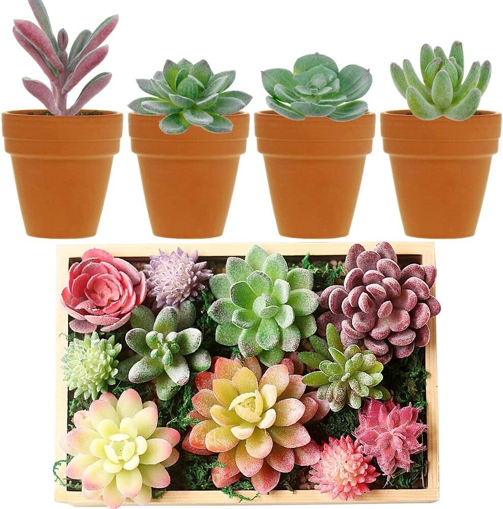 16 Pack Hassle-Free Flocked Succulent Plants – Fresh, No Maintenance Decoration