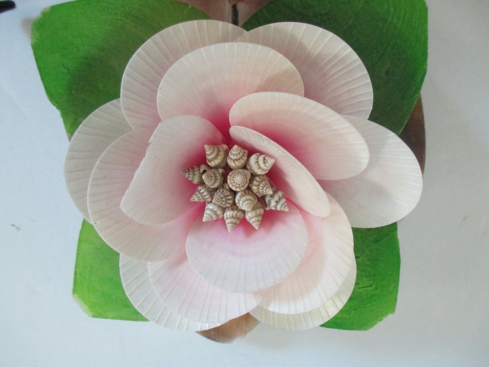 Floral Shaped Shells Blooming Flower Decorative Piece Art Home 6 x 8 in Vintage