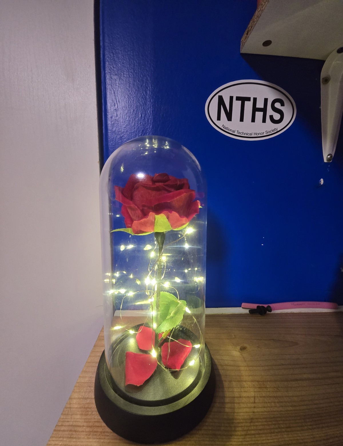 Eternal Red Rose Flower in Glass Dome with LED Lights Floral Decor