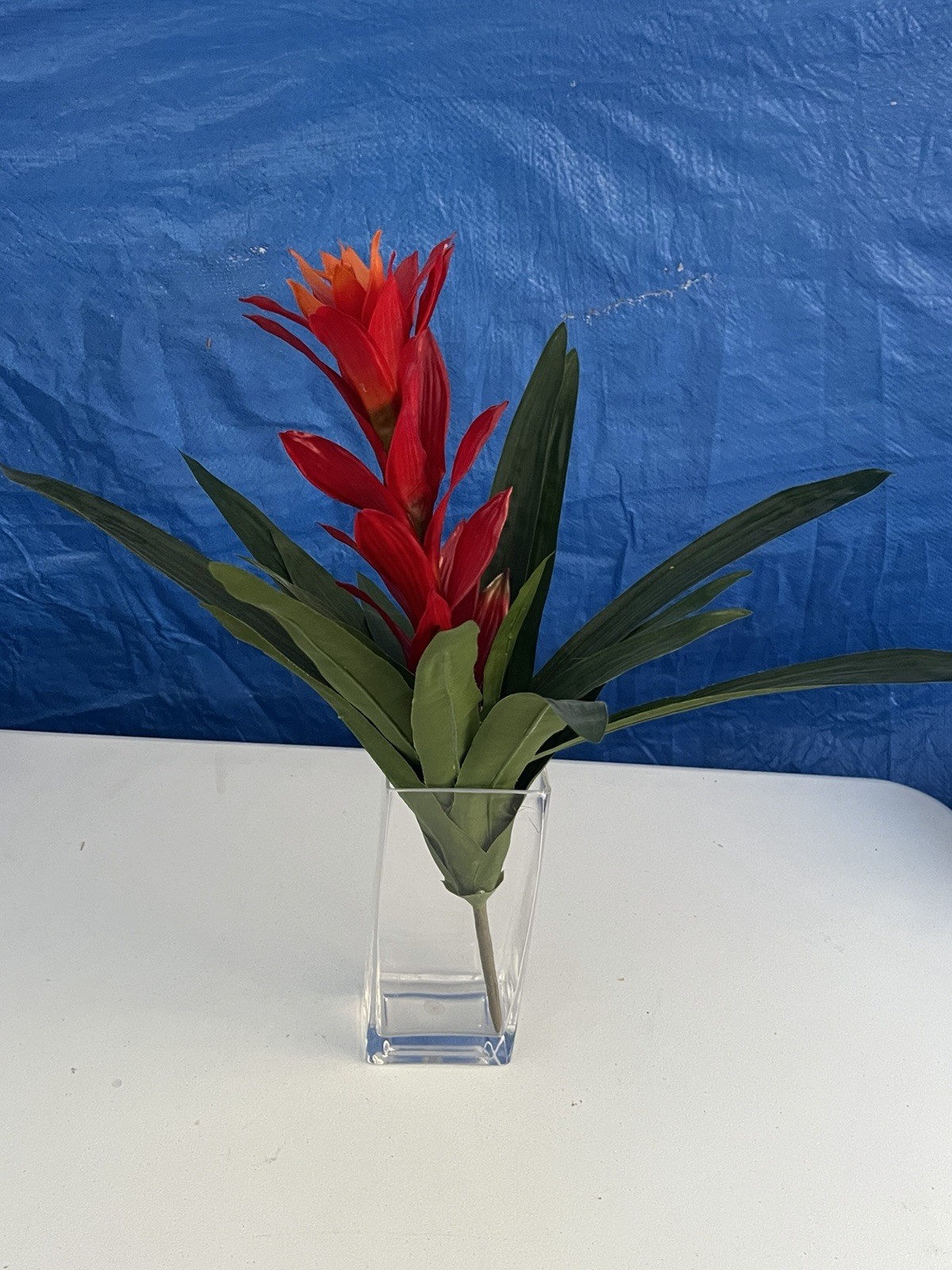 Artificial Flower Guzmania Star Scarlet Red Green Leaves In Clear Vase