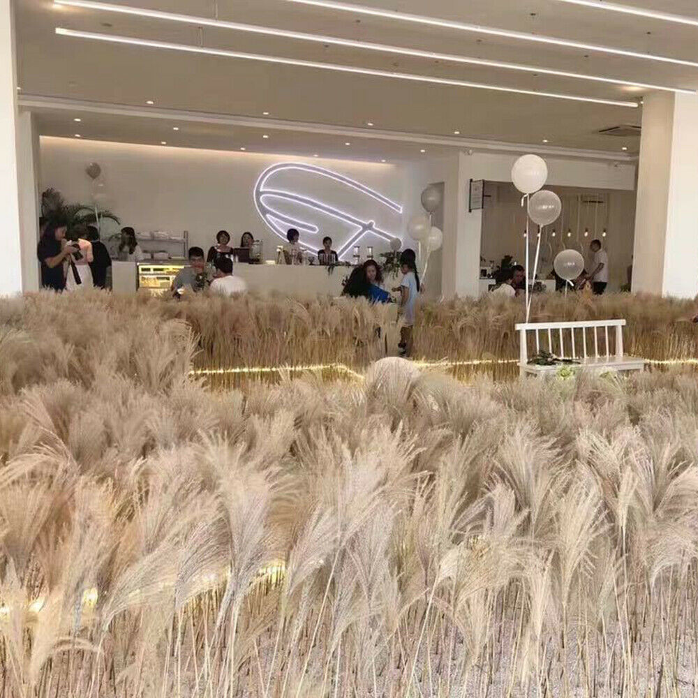 60PCS Natural Dried Pampas Grass Reed Flower Bunch Bouquets Home Wedding Decor