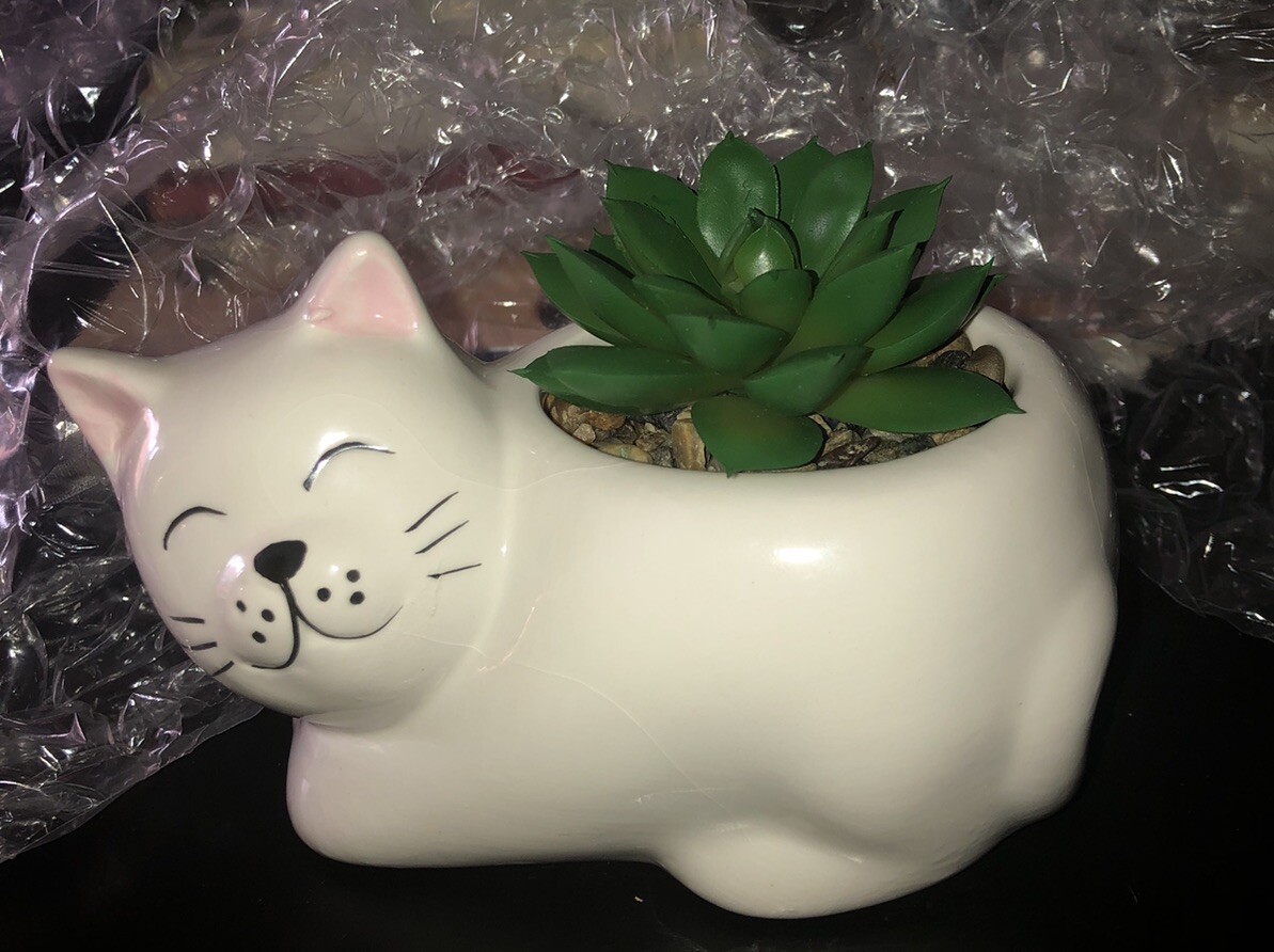Cat Ceramic Vase W/Faux Succulent In Pebbles. 4 Inches High Including Plant New