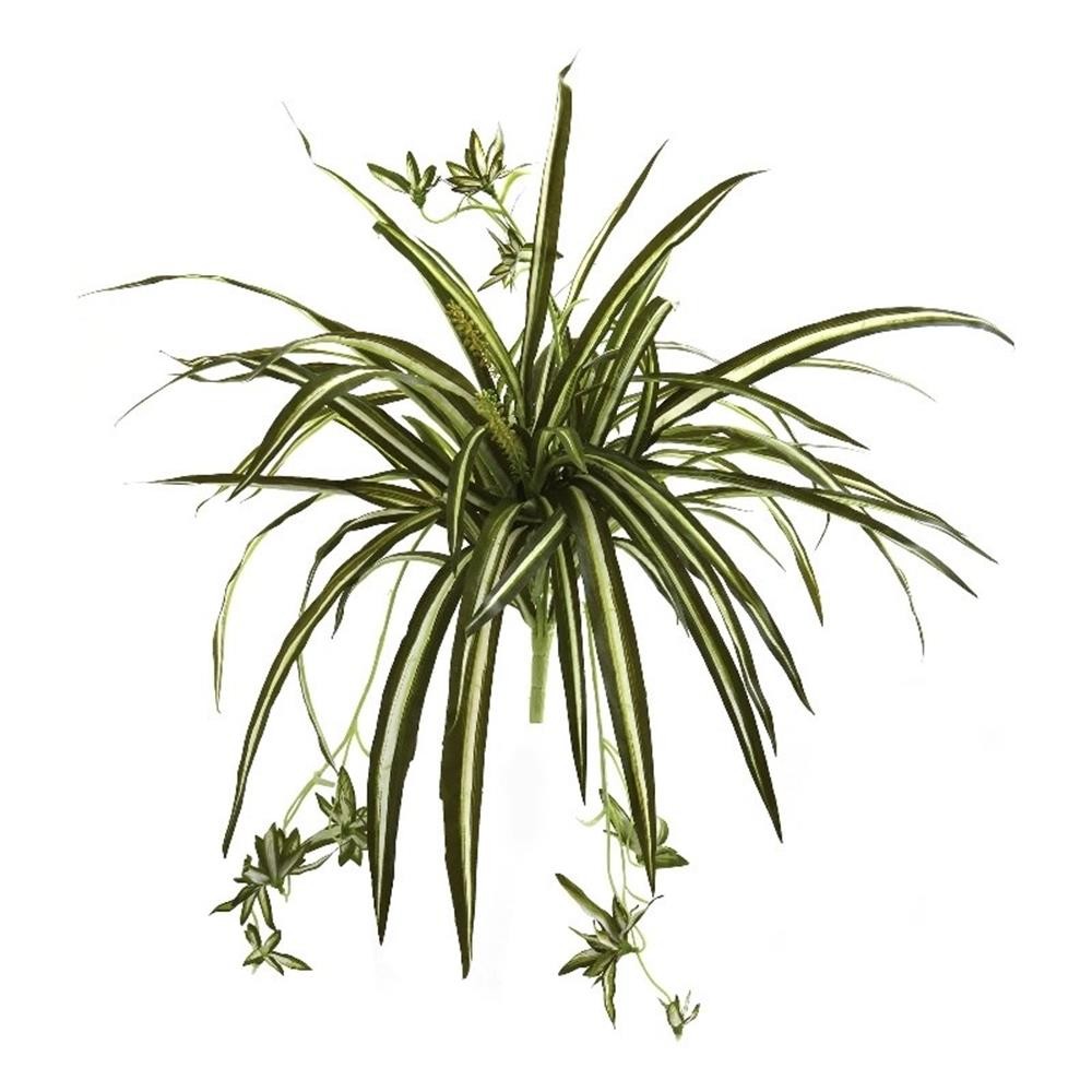 Pemberly Row 23″ Spider Bush with Striped Light/Dark Green Leaves (Set of 4)