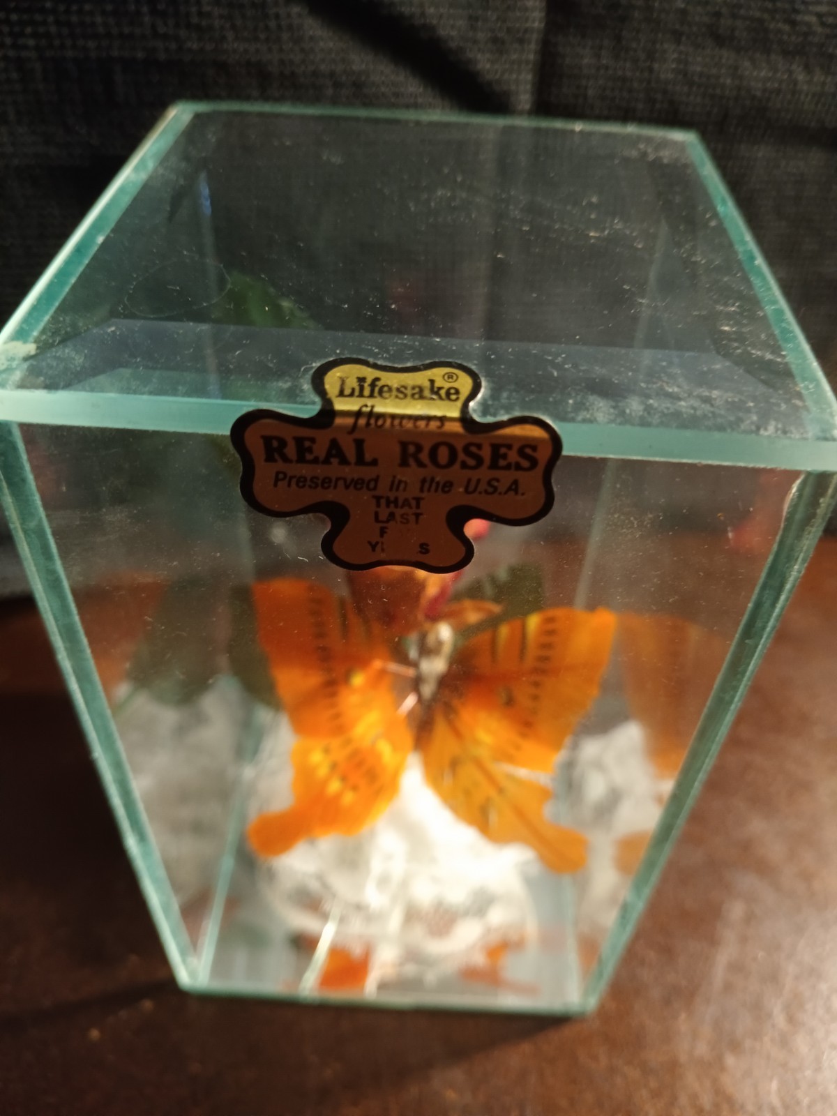 Lifesake Flowers Preserved Real Rose Glass Display ( No Base ) FREE SHIPPING