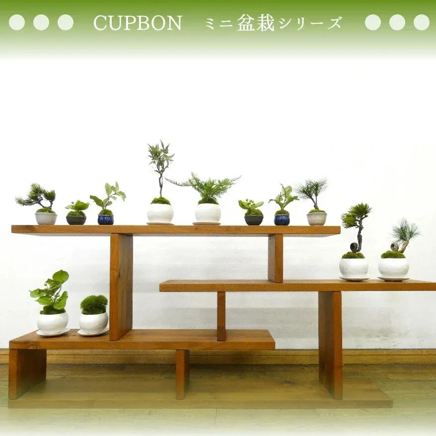 Cup Bonsai Set Momiji & Fern Faux Plant 2pcs Made in Japan Mini Zen Decor
