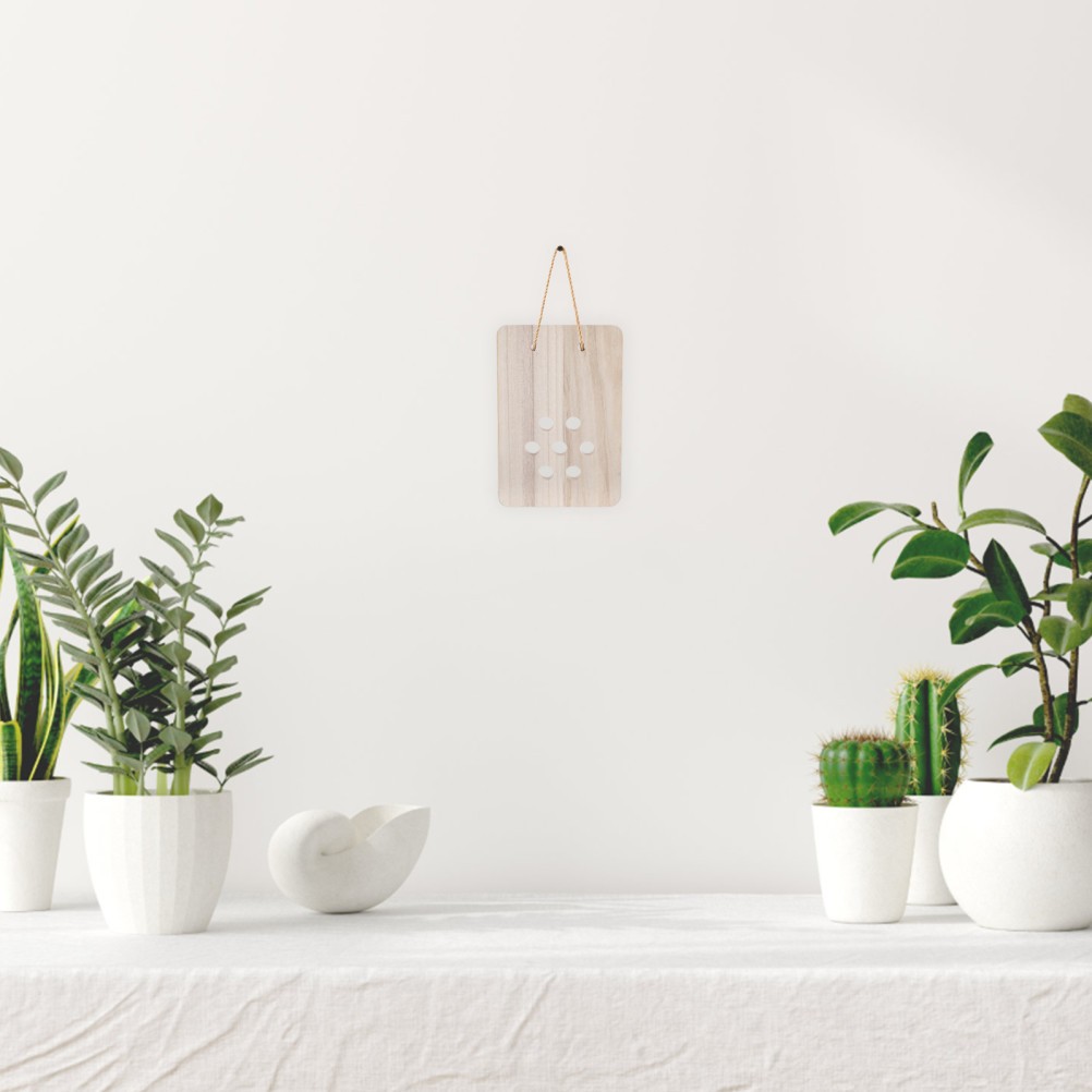 Fern Mounting Board: Wooden Planter – Wall Display Decorative