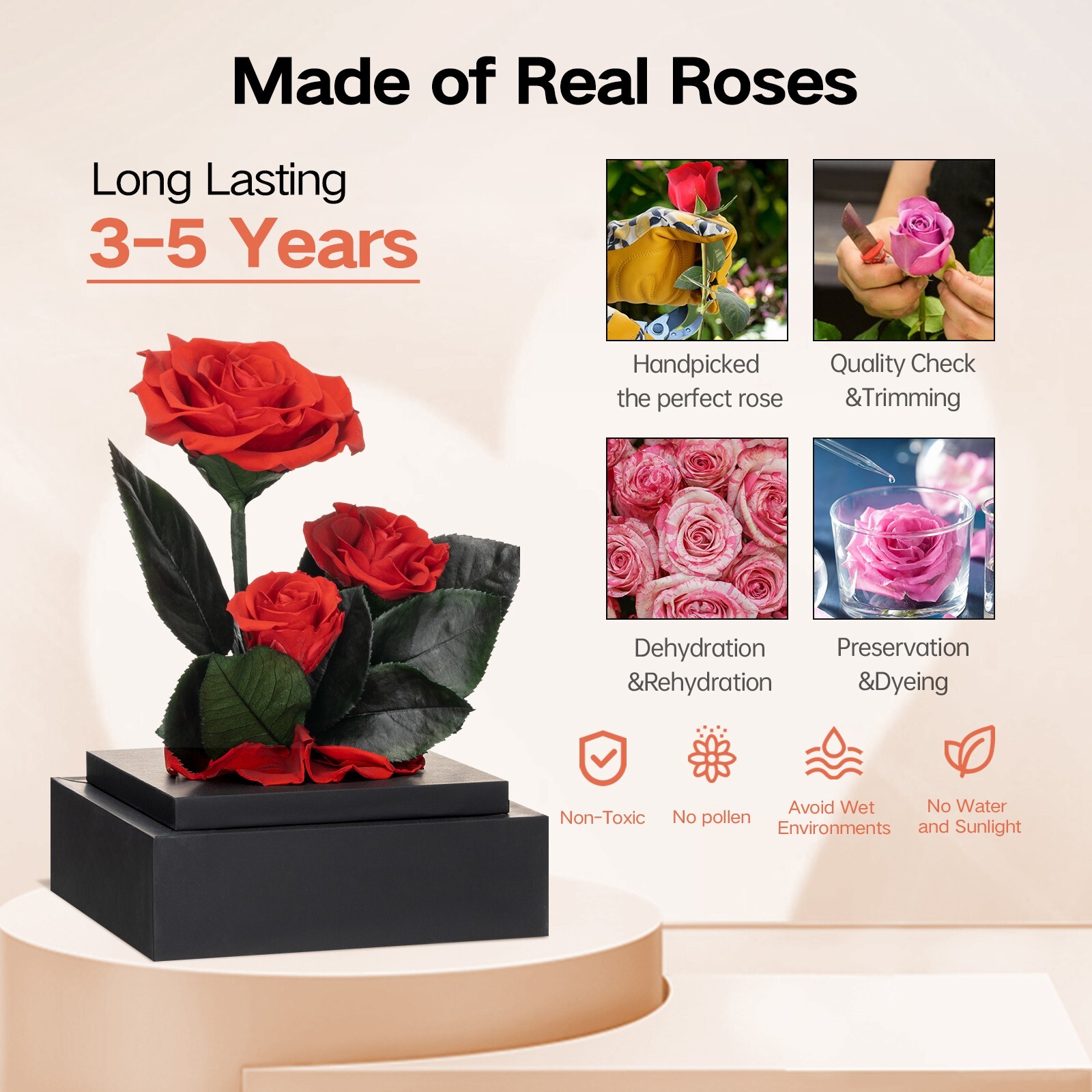Lasting 3 to 5 Years Forever Fresh Flower Preserved Rose Eternal Gift for Womens