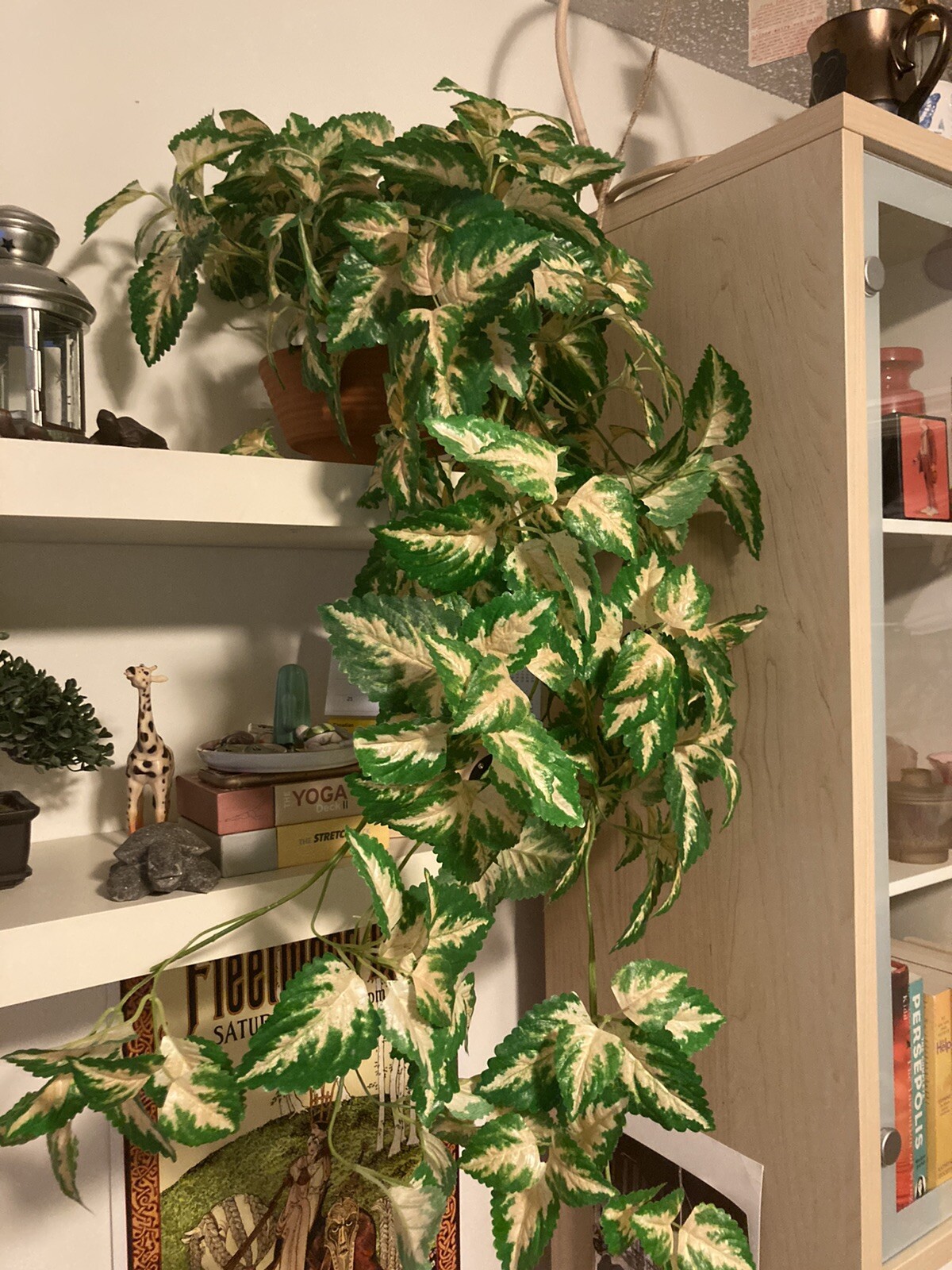 Hanging Silk Plant Natural Looking Coleus (?) Moss Terracotta Pot Tropical 36″