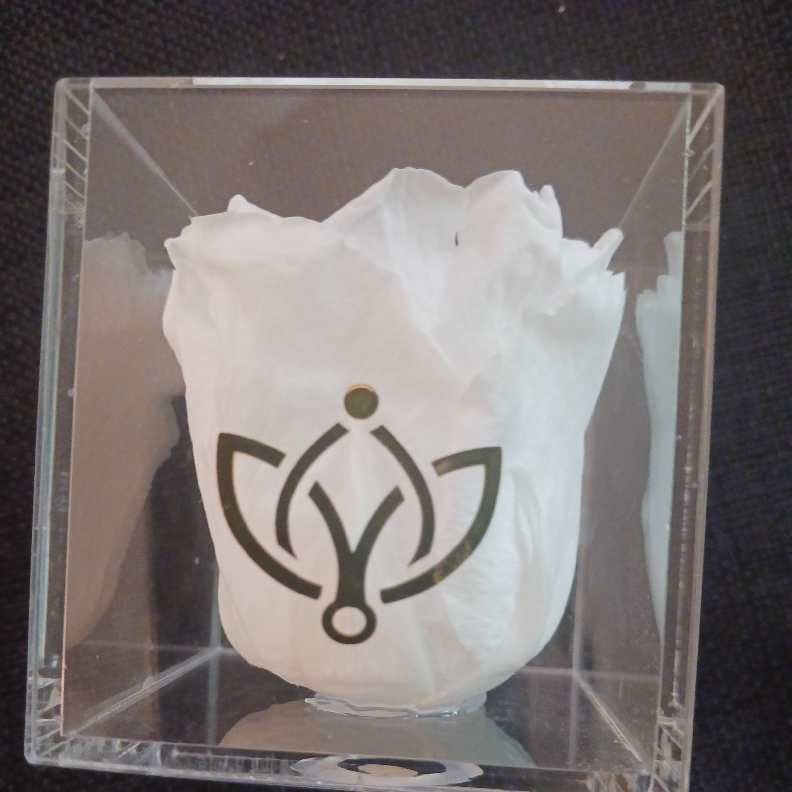 REAL Preserved Eternity Forever White Rose Ring Box Proposal Valentine’s