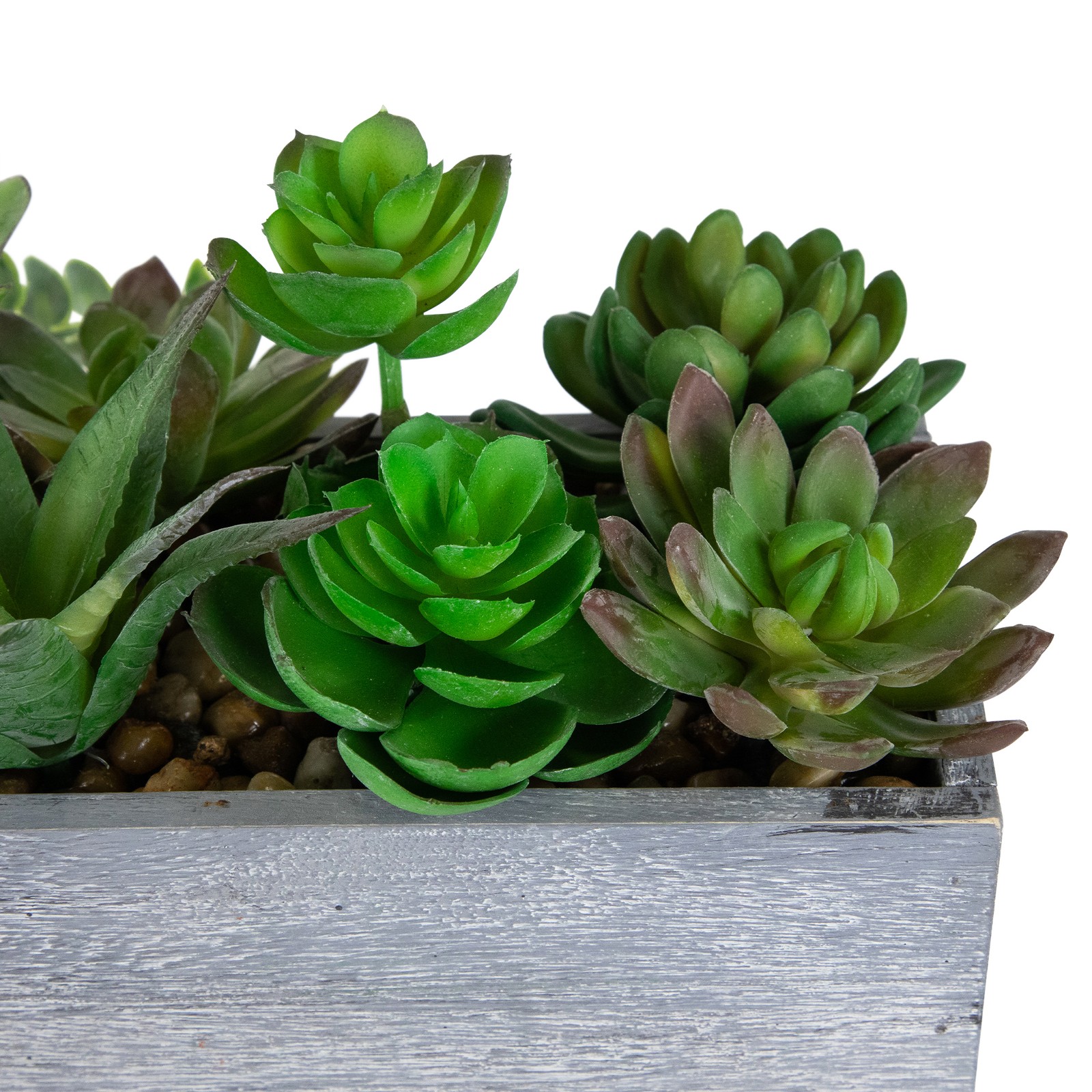 Northlight 11.75″ Artificial Mixed Succulent Plants in a Rectangular Planter