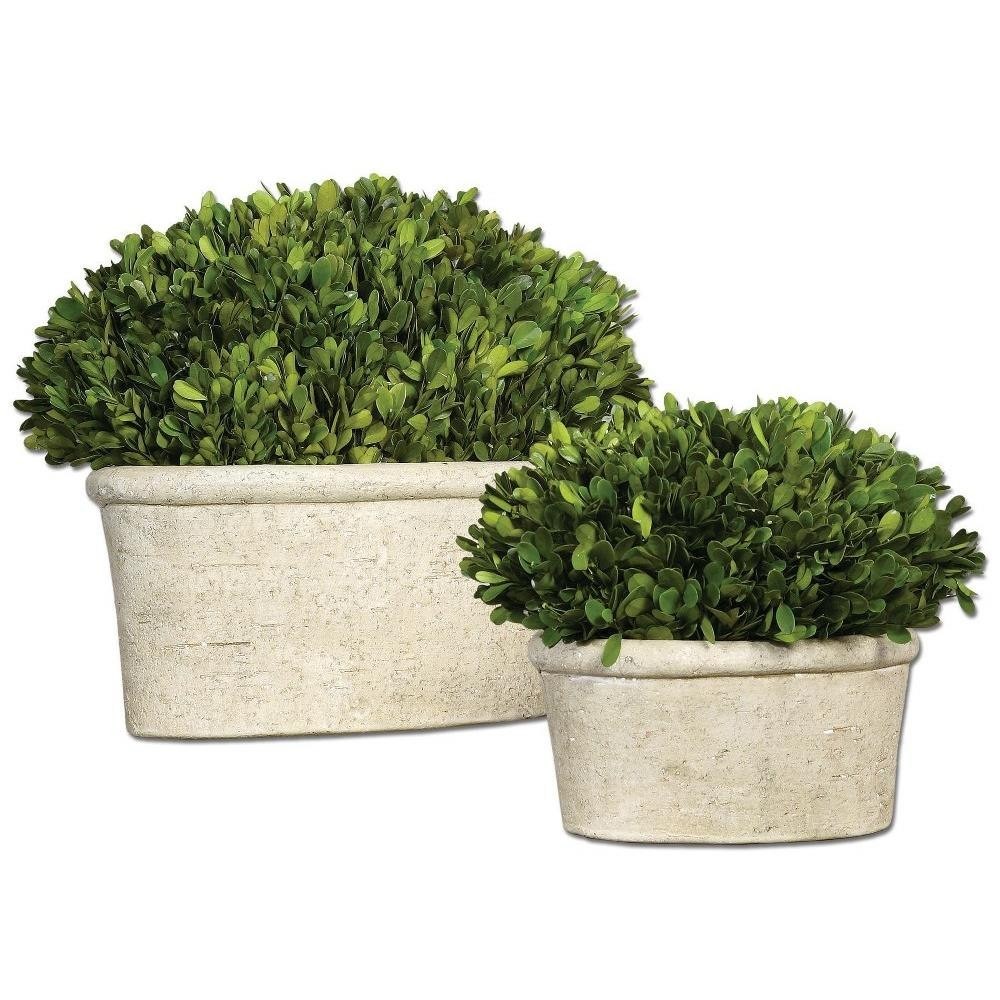 Griffin Top – 14 inch Oval Dome Topiary (Set of 2) – Decor – Planters –