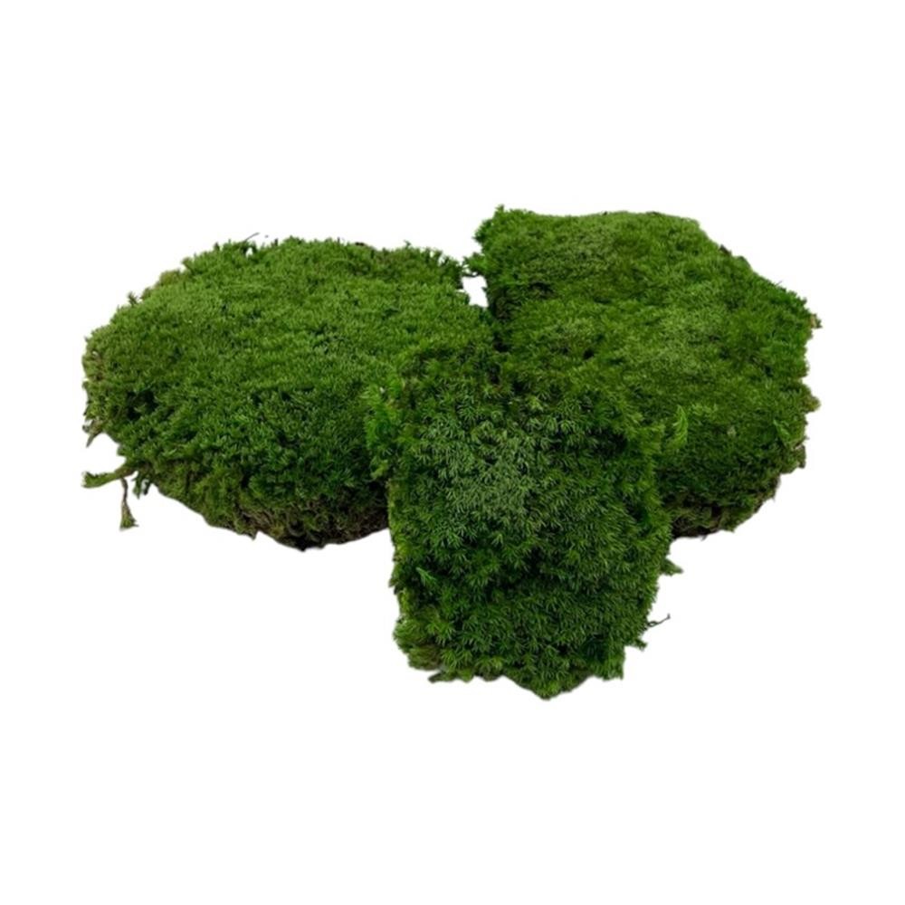 Pemberly Row Preserved Pole Bun Pillow Cushion Moss in Emerald Green