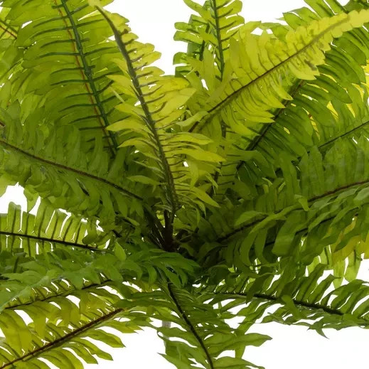 1 Bush Natural Look 23″ x 29″ Artificial Boston Fern Decorative Bush