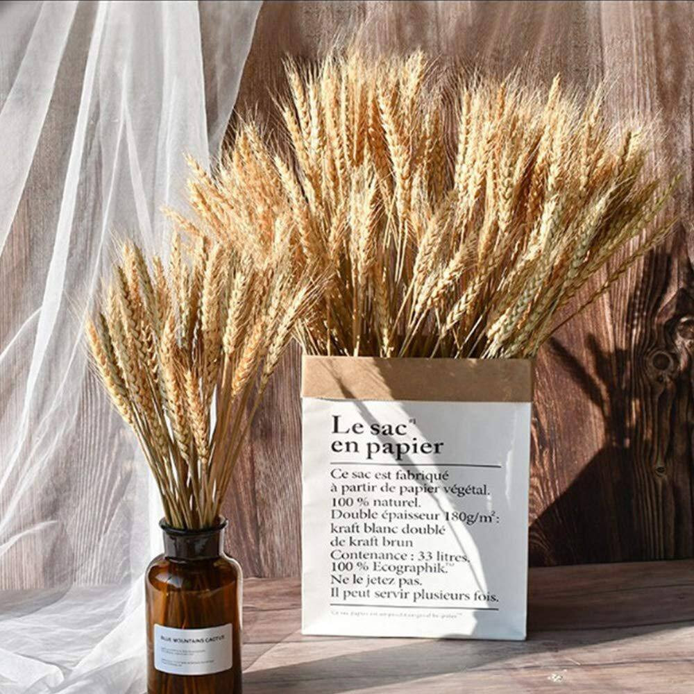2.48 In. (Set of 100) Natural Dried Wheat Stalks 16 In. Tan Artificial Plant Whe