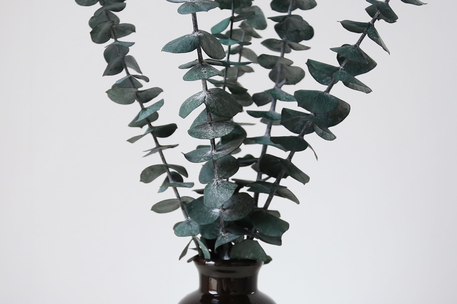 12 PCS Dried Eucalyptus Stems for Shower 17″ Real Leaves Branches for Vase Fi…