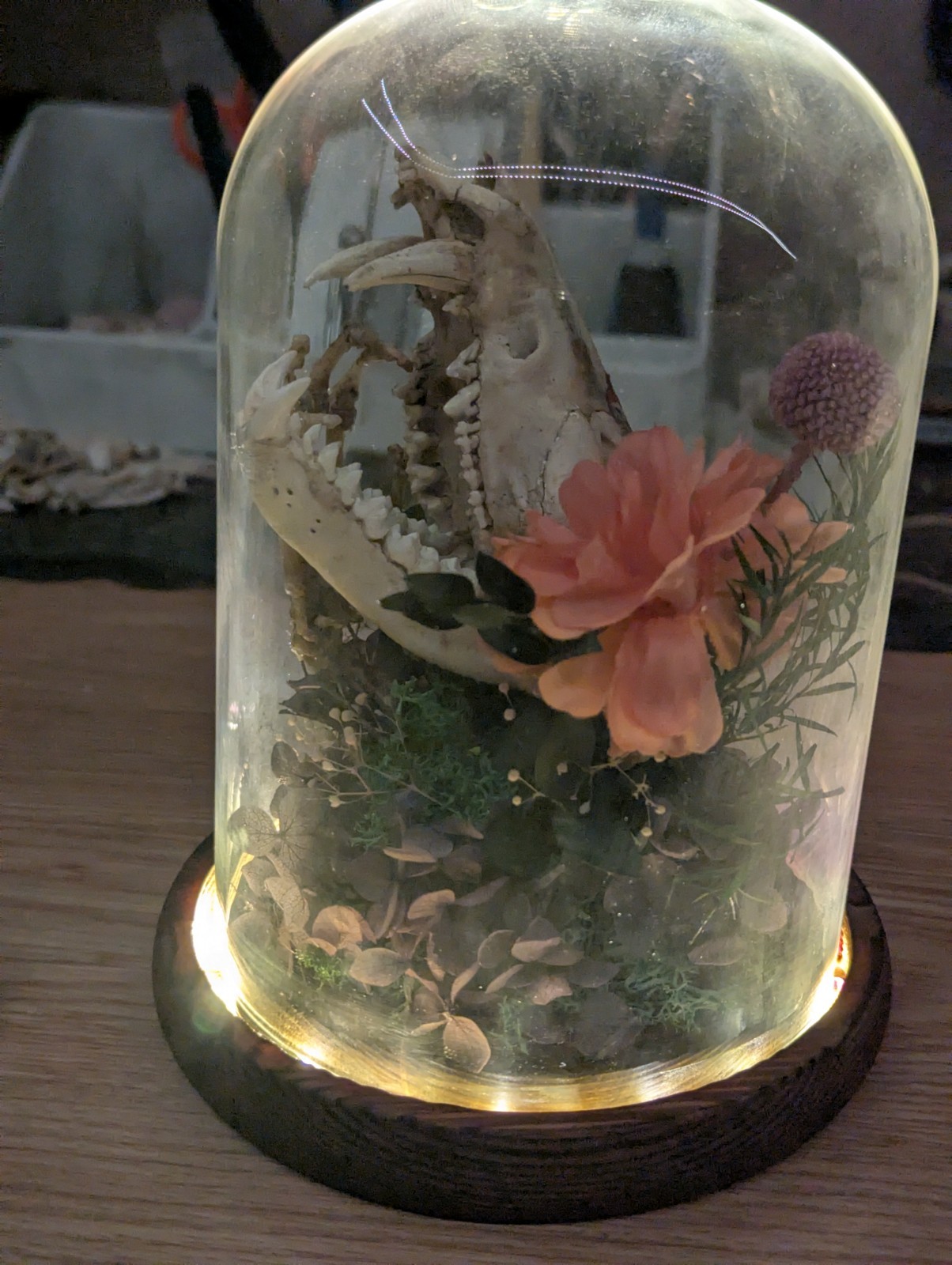 Decorative Glass Dome with Animal Skull and Floral Arrangement