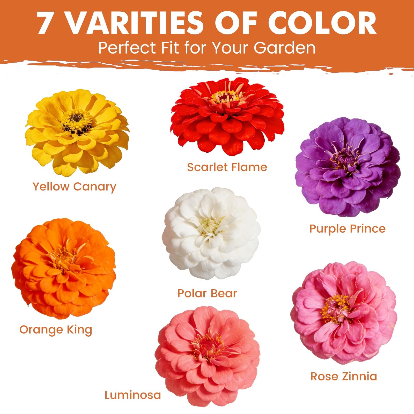 Seeds for 2026 Planting, 5000+ Flowers Seeds, 7 Multi Color