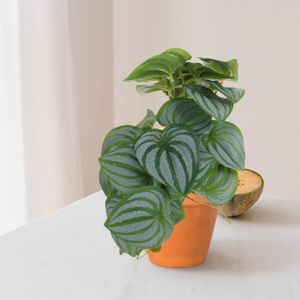 Compact Artificial Plant Faux Watermelon Leaves for Desk Decor