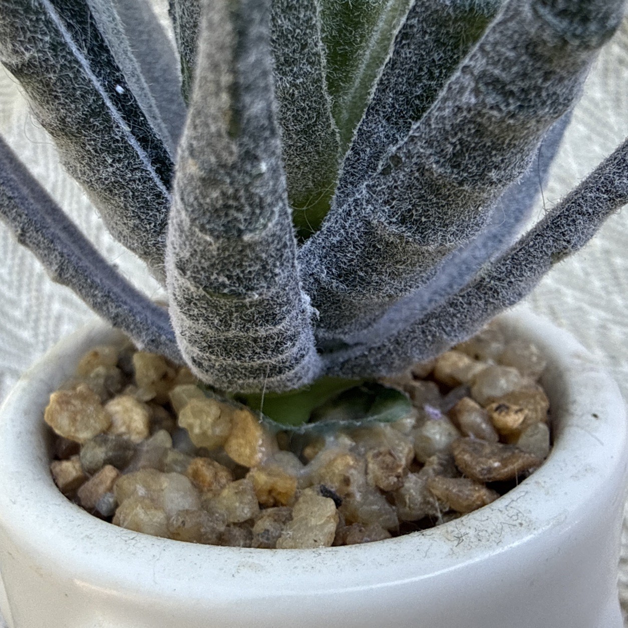 Fake Faux Aloe Plant Decor Small Scrape Hobnail vase 6” Greenery succulent
