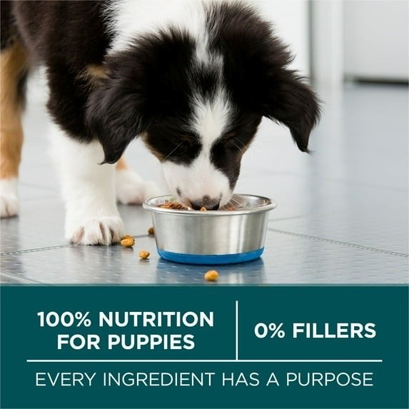 Purina One Plus Puppy Dry Dog Food for Large Dogs High Protein Growth Supprt, Re