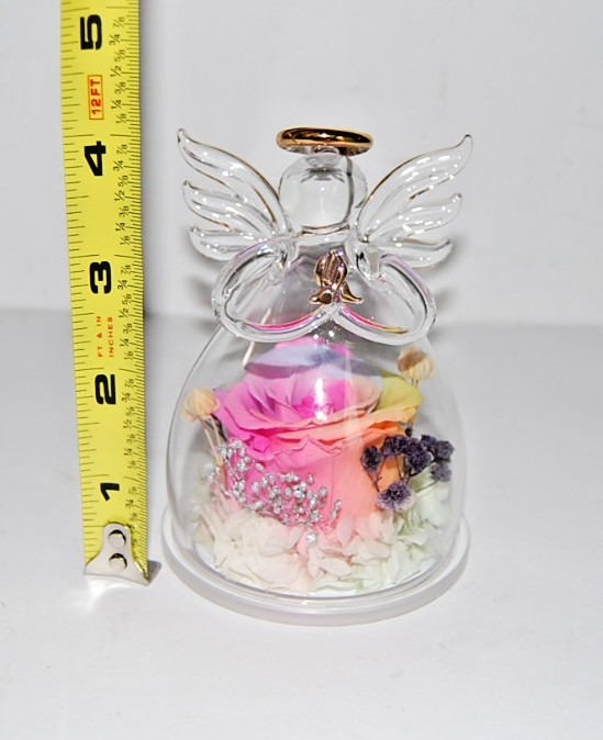 New Glass Angel Rose Gifts Preserved Rainbow Rose Flower in Glass Love Forever