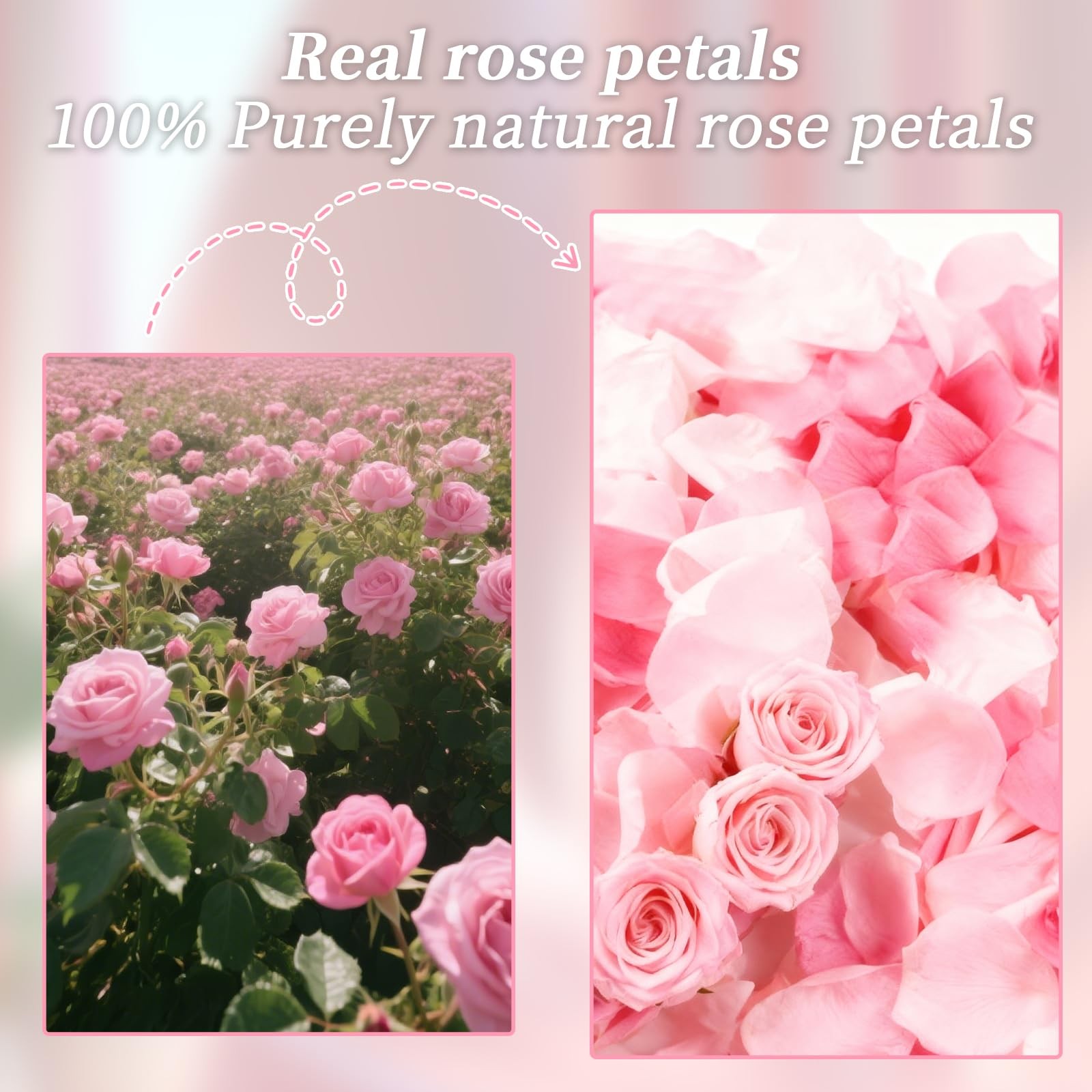 180 PCS Dried Real Pink Rose Petals,Freeze Preserved Rose Flower Petals,Dried…