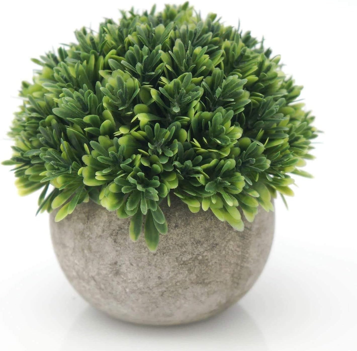 Dust Resistant Artificial Boxwood Plant – Charming Decor for Every Occasion