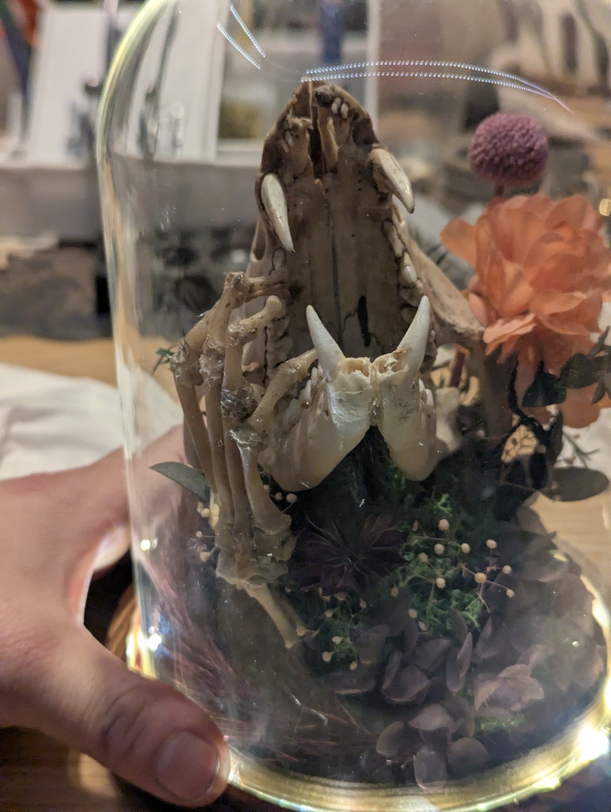 Decorative Glass Dome with Animal Skull and Floral Arrangement