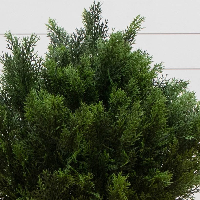 3’ UV Artificial Cedar Shroud Plant Indoor/Outdoor.